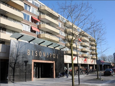 Bisonspoor 2179