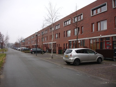 Grashoen in Eindhoven (140m2)