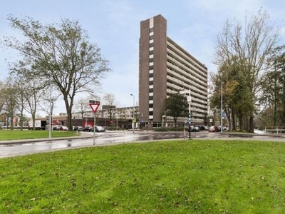 Judith Leysterstraat in Alkmaar (65m2)