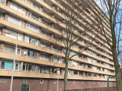 Langswater in Amsterdam (60m2)