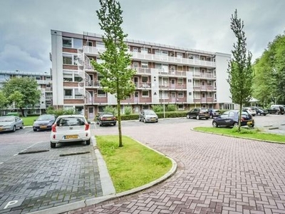 Leverkruidweg in Zaandam (65m2)