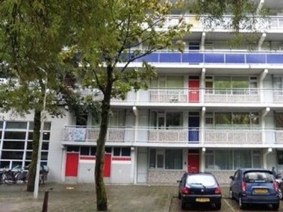 Milanenhorst in Leiden (54m2)