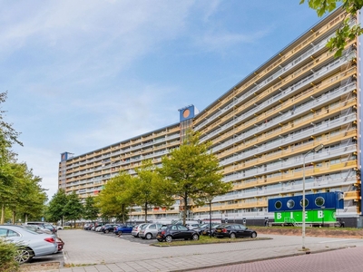 Pharus in Zaandam (86m2)