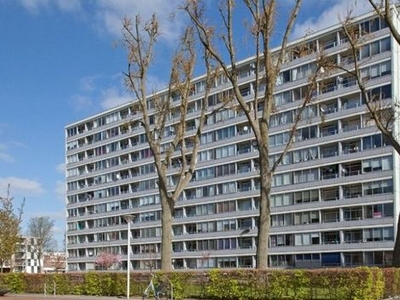 Plein 1953 in Rotterdam (54m2)