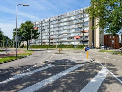 Rauwenhofflaan in Utrecht (48m2)