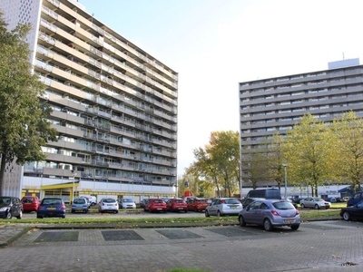 Tjaarda in Drachten (60m2)