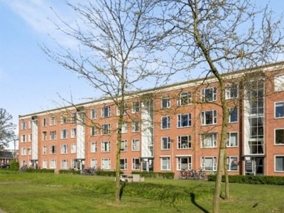 Limietlaan in 's-Hertogenbosch (66m2)