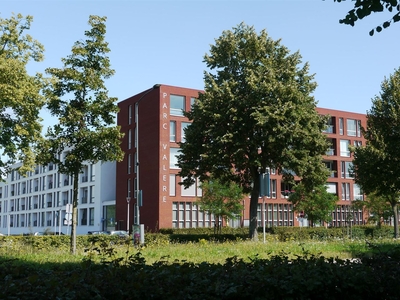 Max Euwestraat 17