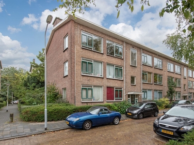 Queridostraat 113