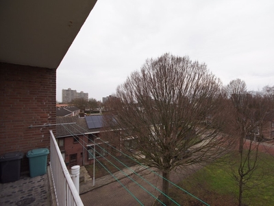 Appartement in Terneuzen met 3 kamers