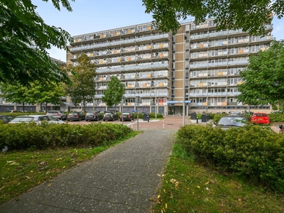 Lupinesingel 366