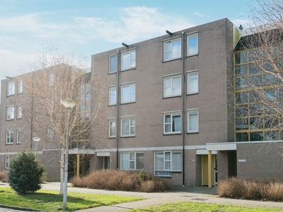 Wamelplein 31