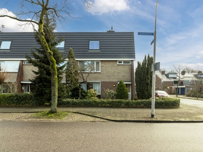 Dromedarisstraat 43