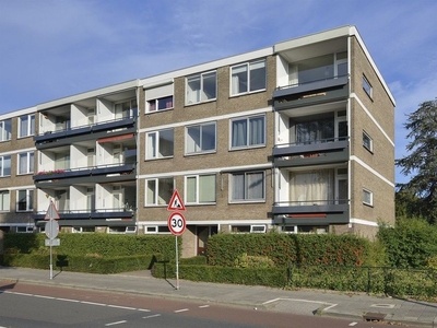 Europalaan in Eindhoven (80m2)