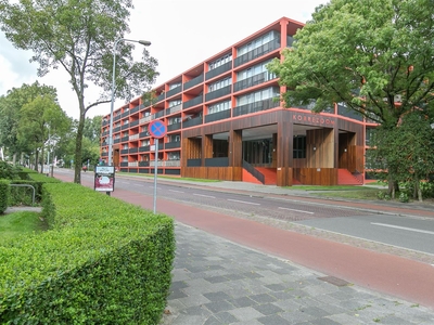 Korreweg 213 41