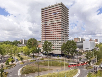 Martinus Nijhofflaan in Delft (47m2)