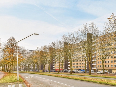 Van Nijenrodeweg in Amsterdam (86m2)