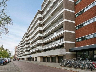 Veldmaarschalk Montgomerylaan in Eindhoven (59m2)