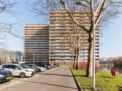 Oost-Dorsch in Zaandam (84m2)