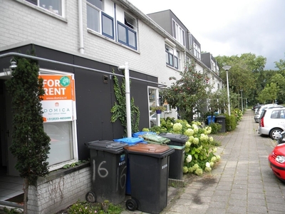 Amersfoort - Theo Uden Masmanstraat