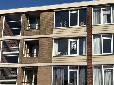 Appartement Bergen op Zoom - Antwerpsestraat