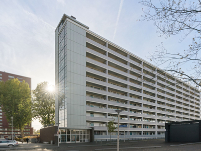 Appartement Rotterdam - Plein 1953