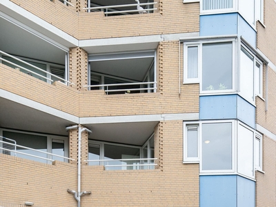 Appartement Terneuzen - Stuvesande