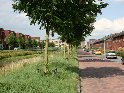 Appartement Zwolle - Waterstoepstraat