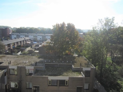 Arnhem - De Bitterstraat