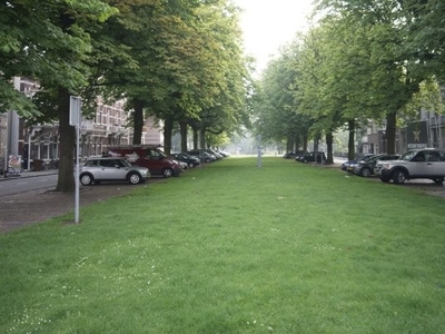 Breda - Wilhelminastraat