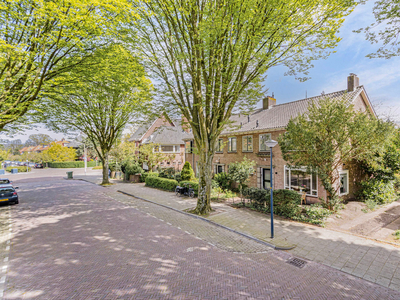 Cobetstraat 24