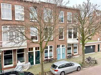 Den Haag - van Slingelandtstraat