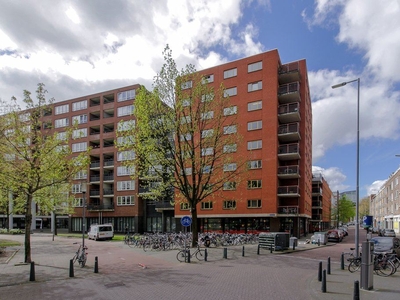 Kipstraat 173