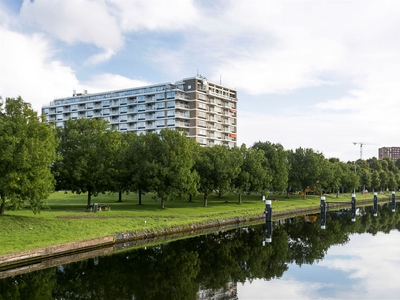 Plantijnstraat 80