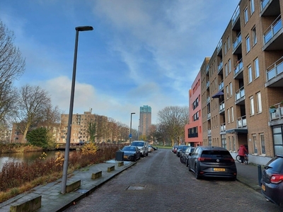 Rotterdam - Hoge Boezem