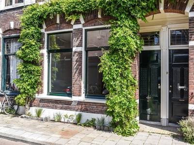 Schneevoogtstraat 13