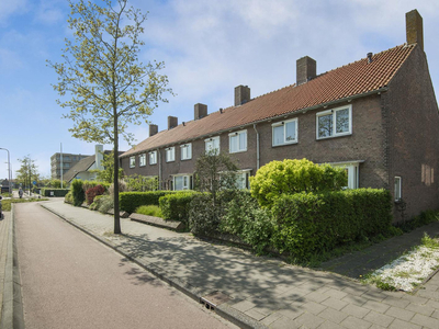 van Panhuysstraat 23c