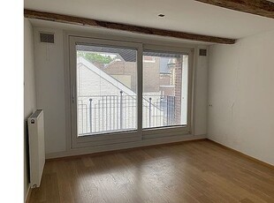 Huur 1 slaapkamer appartement van 66 m² in Maastricht