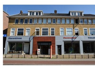 Kamer van 16 m² in Arnhem