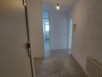 Appartement in Rotterdam met 2 kamers