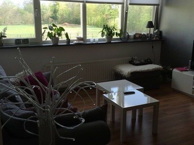 Appartement Laarweg in Harskamp