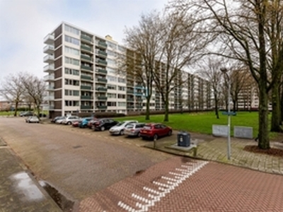 Appartement te huur in Haarlem