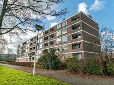 Appartement te huur in Leiden