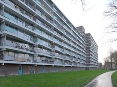 Appartement te huur in Zoetermeer