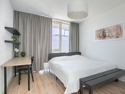 Kamer te huur in Capelle aan den IJssel