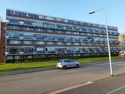 Kamer te huur in Zwolle