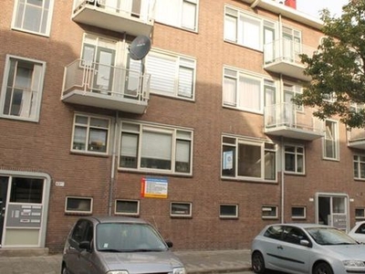 Vlinderstraat in Rotterdam (55m2)