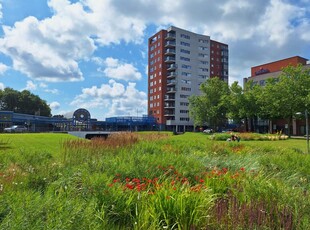 Appartement in Heerenveen met 3 kamers