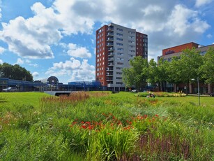 Appartement in Heerenveen met 3 kamers