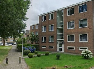 Appartement in Leeuwarden met 5 kamers